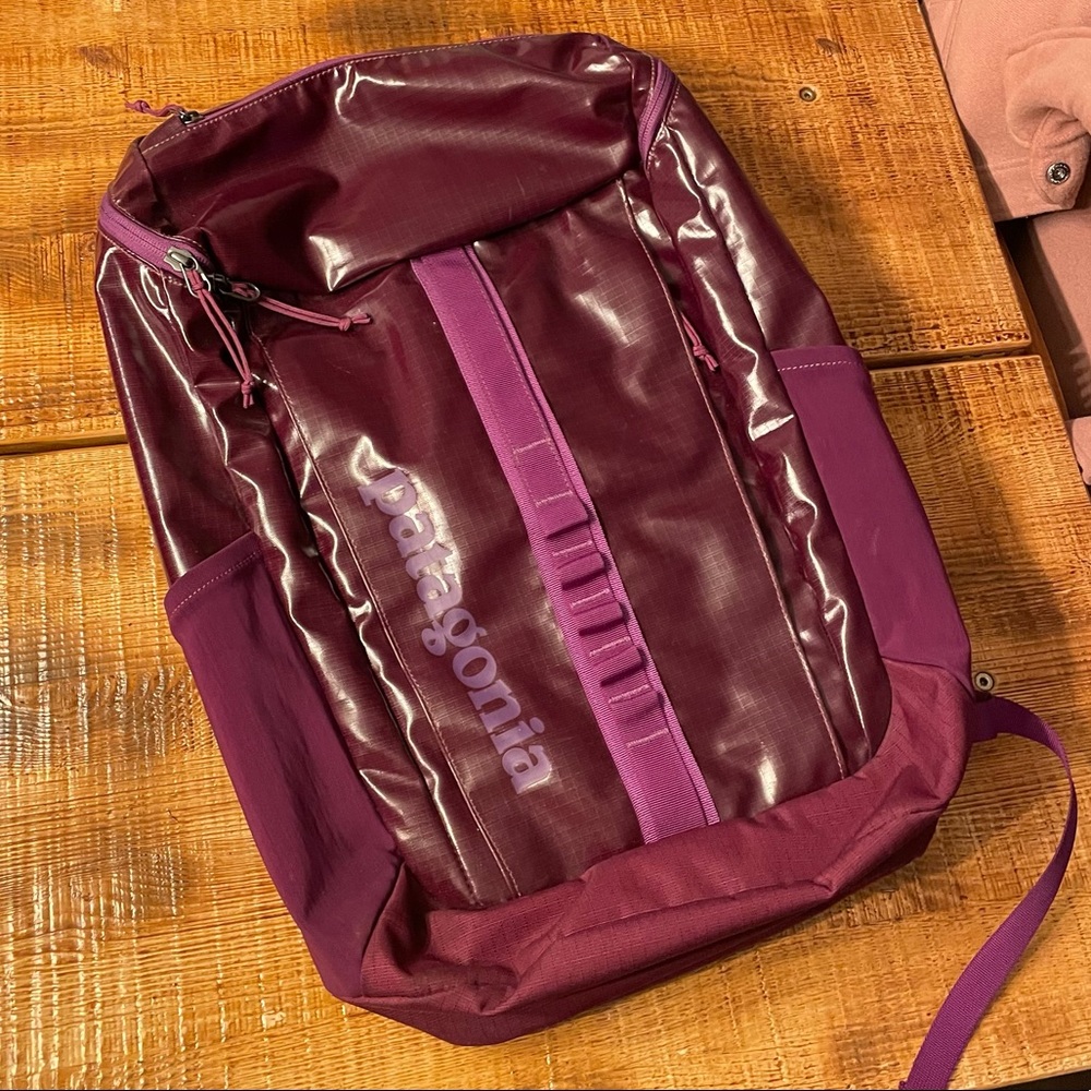 Patagonia Backpack